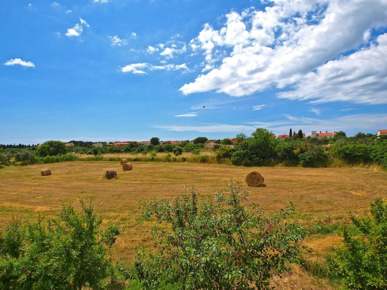 Apartments Fazanka 1002 Fažana Екстериор снимка